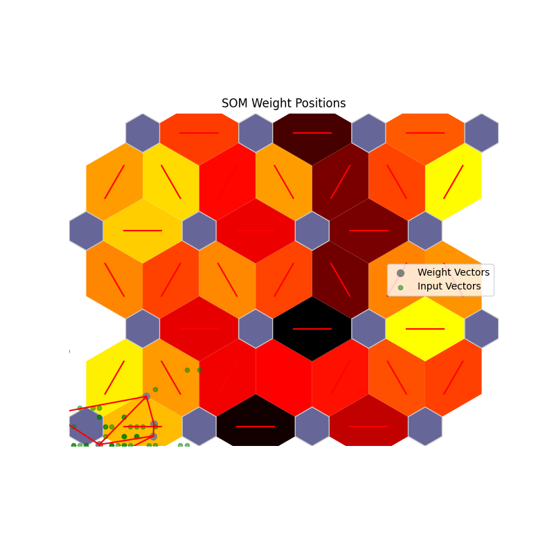 SOM Weight Positions